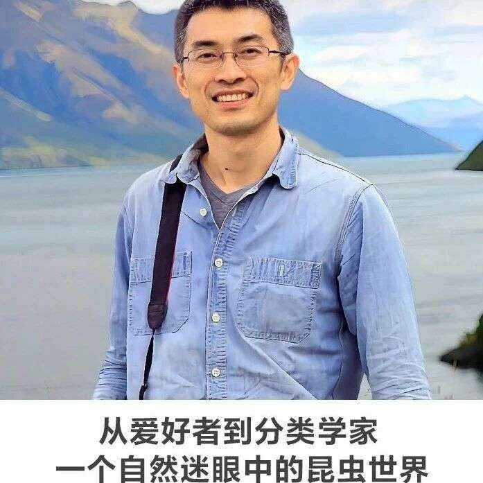 线上讲座 | 【从爱好者到分类学家 ——一个自然迷眼中的昆虫世界】