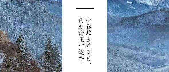 立冬丨冬日之始，万物伏藏