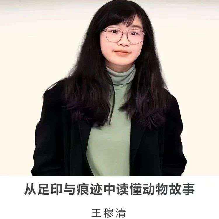 30分钟讲座 | 【从足印与痕迹中读懂动物故事】