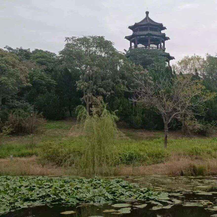诗词 | 忽有故人心上过，回首山河已深秋