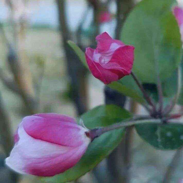 诗词丨人间三千事，淡然一笑间