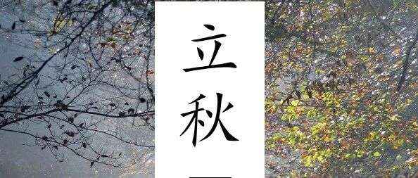 立秋丨睡起秋声无觅处，满阶梧叶月明中