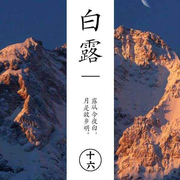 白露｜水月相逢，人间仲秋