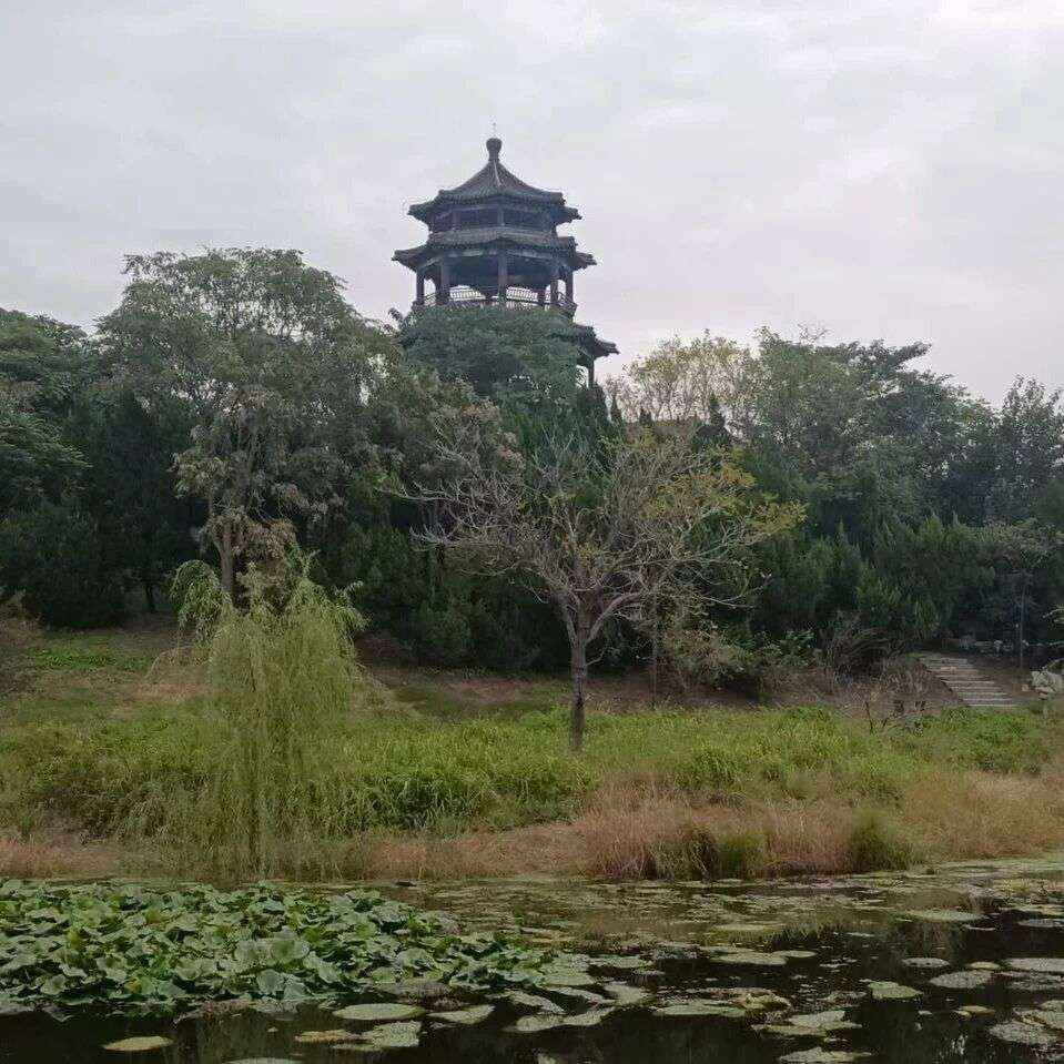 诗词丨寒食遥寄相思泪，明朝新火试新茶