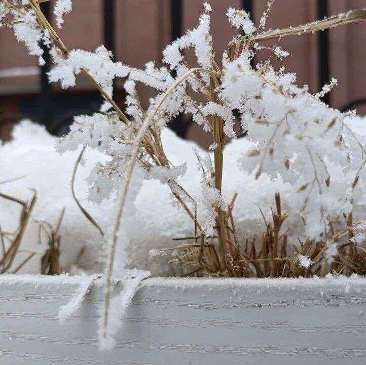 大寒诗词 | 寒冬岁暮听风雪，心有所暖不畏寒
