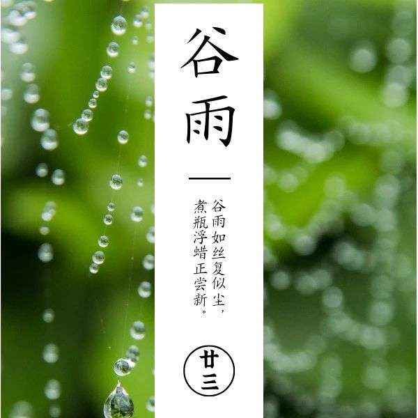 谷雨丨春尽夏将至，繁花似锦来