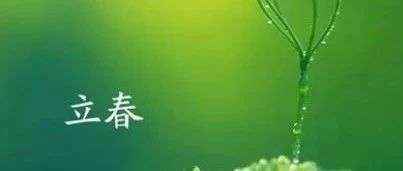 【立春】草长莺飞，春又来到