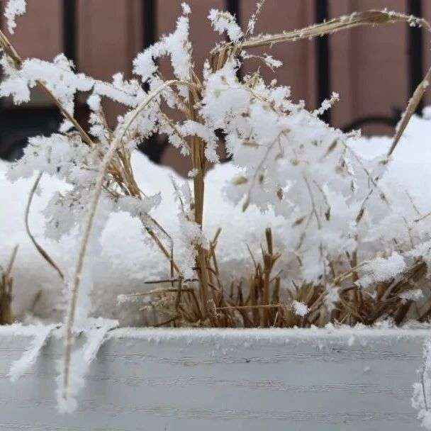 立冬诗词 | 愿你三冬暖，不惧岁月寒