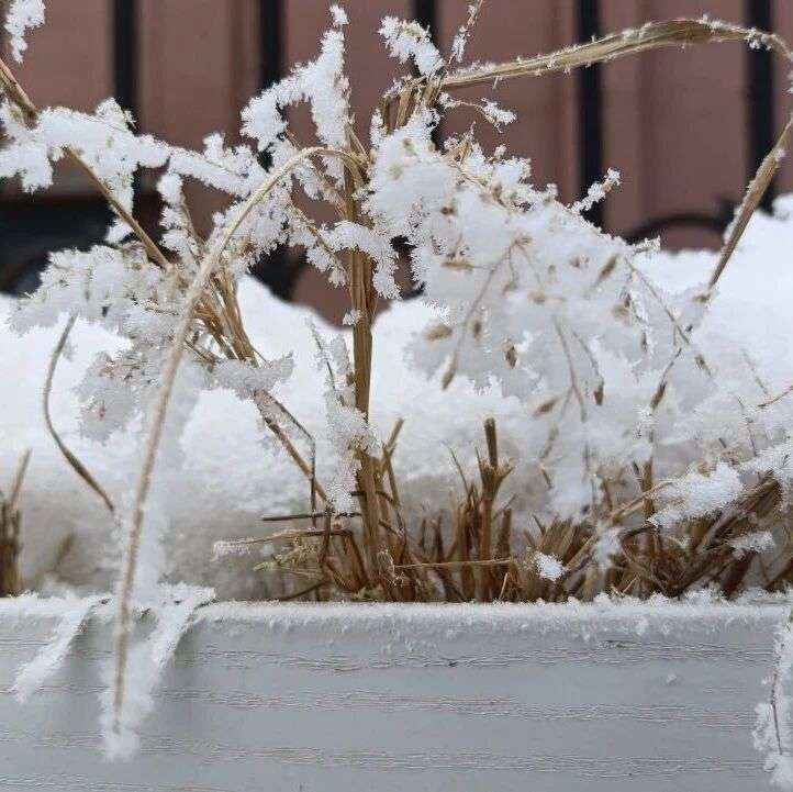 诗词 | 心宽自有桃源在，淡看人间四季天