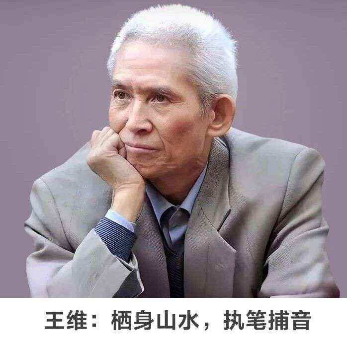 名师讲坛丨每天30分钟一讲座丨王维：栖身山水，执笔捕音