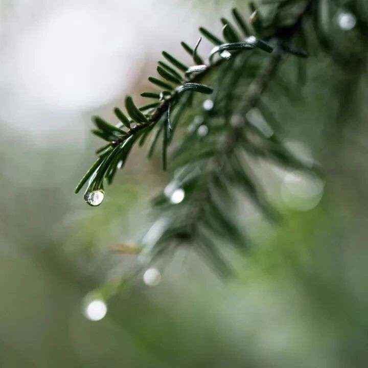 诗词 | 一场秋雨一场寒，一缕秋思一缕暖
